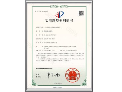 一種改進(jìn)的吹塑桶的輸送裝置-實用新型專利證書